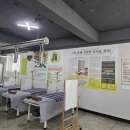 정선한의원 | 침향귀뜸봉을 직접 경험하고 전하는 찐 후기