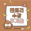 엔트리 온라인 강의 수강 후기 ㅣ 코딩이 이렇게 재밌을 줄이야?