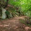 인현왕후길 이미지