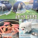 제주이글루 | 금포가든 김포본점 | 애견동반 내돈내산 후기 강아지운동장이 있는 이글루돔 감성 캠핑분위기 정육식당