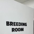 크레에이트