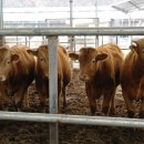 화계농장 이미지