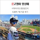 중앙블럭 | 사직야구장 중앙상단석 52블럭 7열 직관 후기