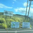 바닐라 | 빅아일랜드 천연 바닐라 투어 후기 VANILLIERIE