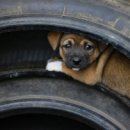 골드클래스 이미지