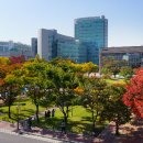 아산시청 이미지