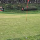 문산 골프하우스 | [골프 라운드] 파주 타이거CC, 타이거컨트리클럽 라운드(가온->누리 코스) 후기(25년 10월 31 - 생각...