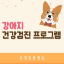 온정동물병원 이미지