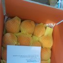 가영농장 이미지