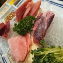 참치플러스 이미지