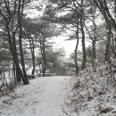 양덕리동리장승 이미지