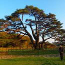 상주 옥동서원 이미지