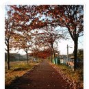 오십천둔치 이미지