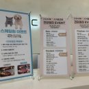 베이직 동물병원 이미지