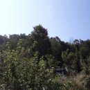 서구-01-107 이미지