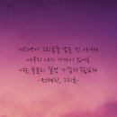 오늘의 小史 이미지