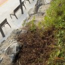 자전거쉼터 (3개소) 이미지