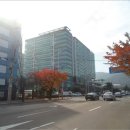 완암로-2 이미지