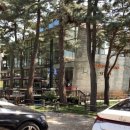 사천견생 이미지