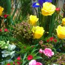 대전삼성성결교회 이미지