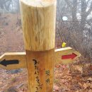 멀구슬민박 이미지