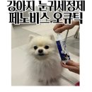 강아지 눈귀세정제 페노비스 오큐틱