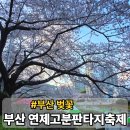 온천천일대7 | 부산 연제고분판타지축제 온천천 실시간 방문 후기