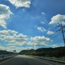 배롱나무 특화거리 이미지