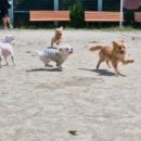 개스트룸 이미지