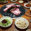 고기싸롱 이미지