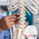 소망마취통증의학과의원 네이버블로그
