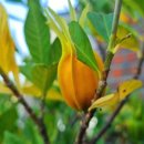 삼록석굴 이미지