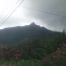 중앙3길 이미지