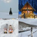 (유)다온교통 | 삿포로 비에이 투어 추천 흰그림자투어 비에이 후라노 일정 총정리