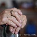 물댄동산펜션A | A플러스 물댄동산 요양원에서 누리는 특별한 혜택