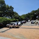 청단 | 일상) 청단풍이 아름다운 사찰 구미 도리사 공양 후기