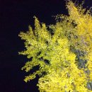 시청앞길 이미지