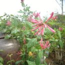 서대산농장 이미지