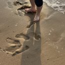 미견미묘 이미지