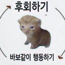 두둠치밥 | 시험 끝나도 종강 못하는 4학년 일상