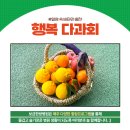 보금한방병원 이미지