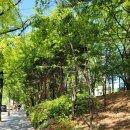 현대아파트 경로당 | 효자촌 현대 아파트 부동산 임장 후기