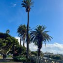 더엘에이토스트 | 크리스마스 미국 서부 여행 :: 🌴LA 엘에이 숙소 추천 #에어비앤비 :: #아메리칸에어라인 후기✈️