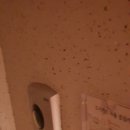 신장로76번길 이미지