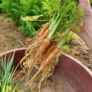 준구농장 | 태안 당일치기 여행 #신두리 해안사구