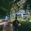 코지안 | 다낭 호이안 호텔 추천 코지안 부티크 호텔 가성비 짱 완전 추천해요