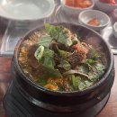 부영목욕탕 | 내키는 대로 수확하는 당근 105