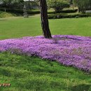 유락농장 이미지