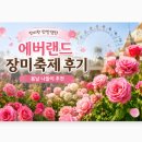 에버랜드 장미축제 다녀온 후기｜장미향 가득했던 로즈가든 🌹