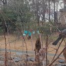 삼덕공원 앞-2 이미지